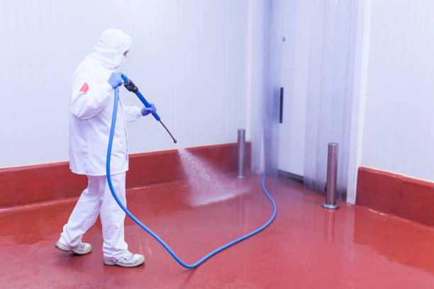 Best Warehouse Cleaning  in Billings, MT